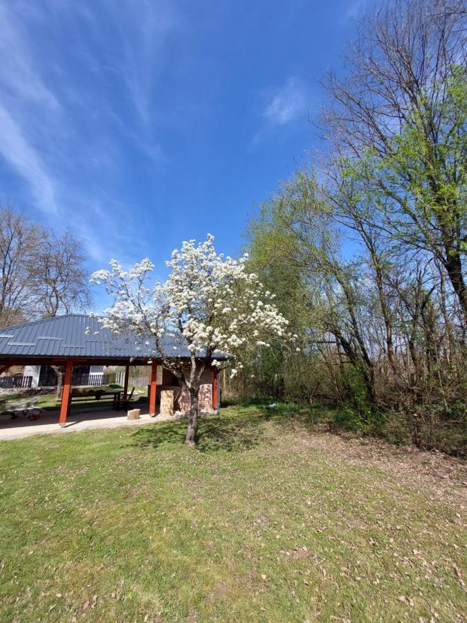 Villa House Kupa Mb Petrinja Exterior foto
