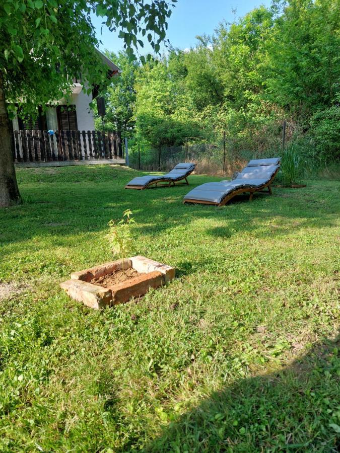 Villa House Kupa Mb Petrinja Exterior foto